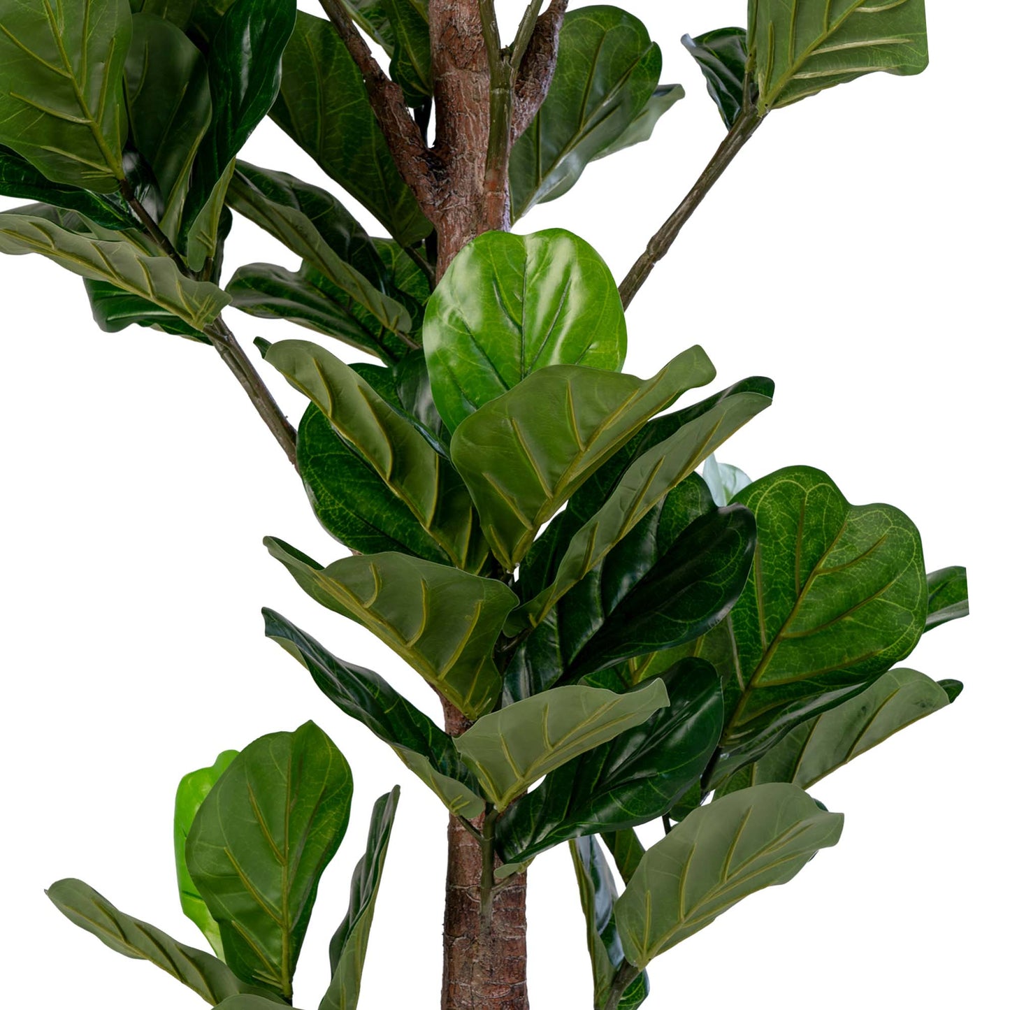 Geigenbaum - Künstliche Pflanze ca. H190cm Geigenfeige Ficus Lyrata