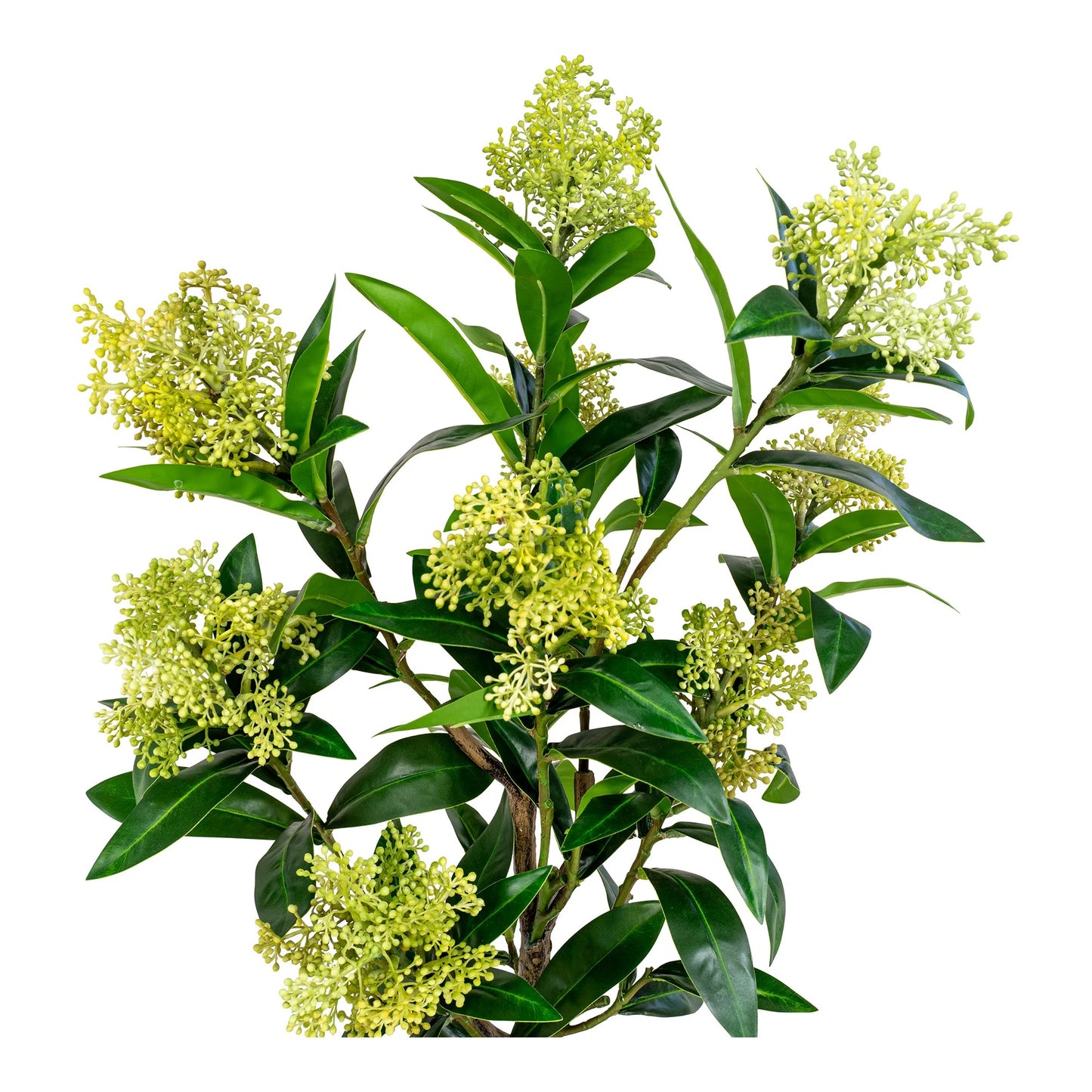 Künstliche Pflanze SKIMMIE ca. H75cm Skimmia japonica