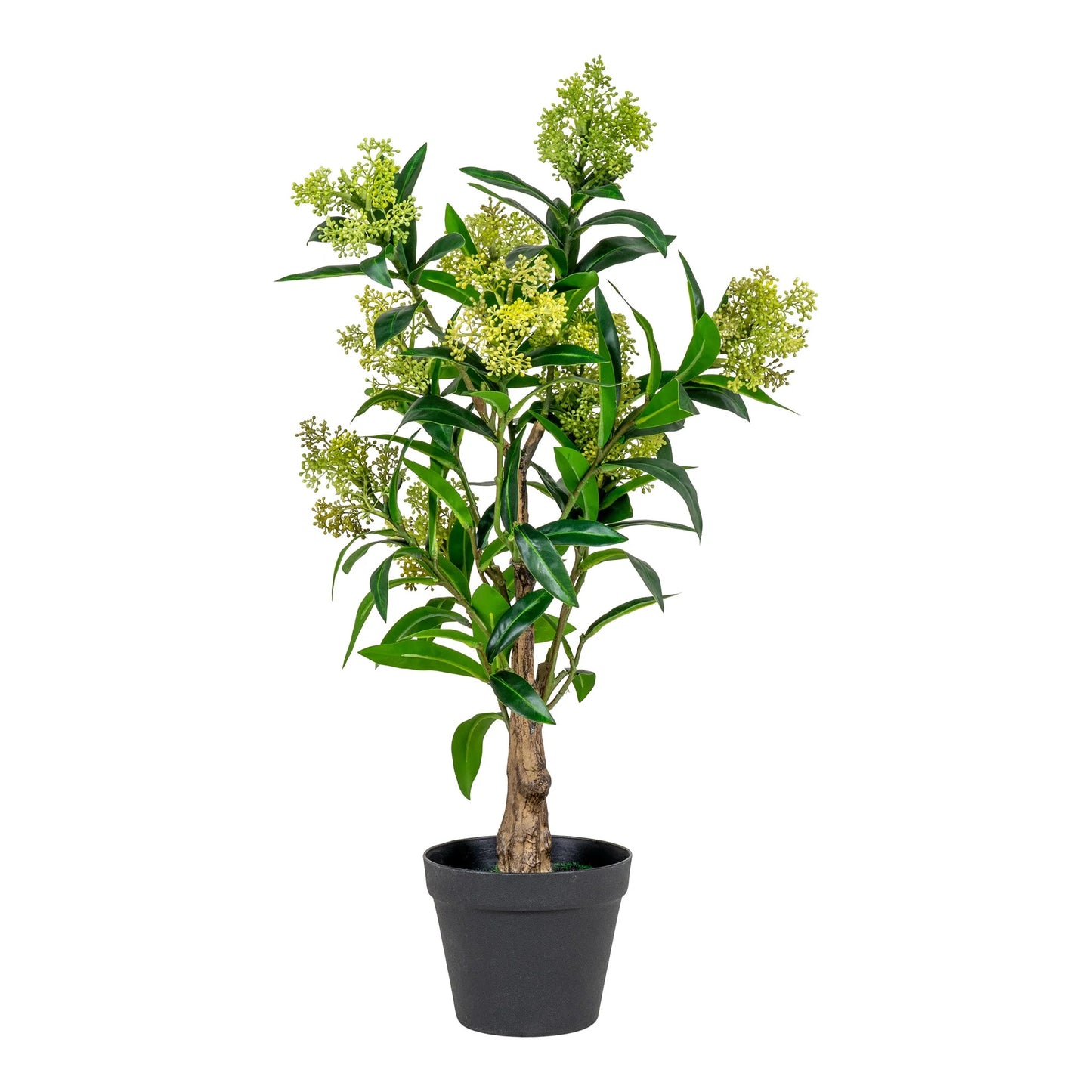 Künstliche Pflanze SKIMMIE ca. H75cm Skimmia japonica